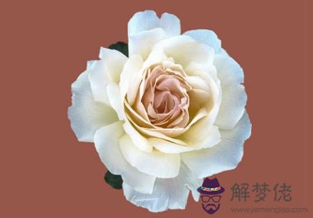2019年農歷九月十二日子好嗎,是出殯安葬逝者吉日嗎？(圖文)