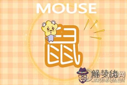 屬鼠會因為什麼而單身一輩子(圖文)