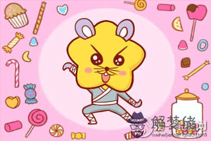 重回大學 屬鼠會選擇做些什麼(圖文)