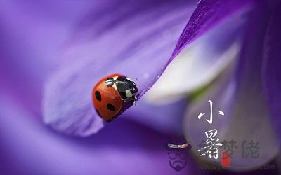 小暑還要幾天？小暑節氣的特點是什麼？(圖文)