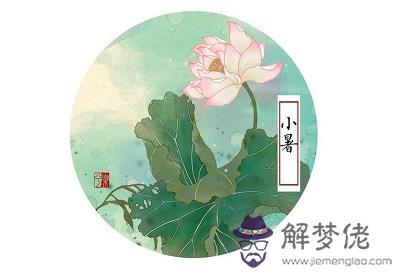 小暑是什麼日子？二十四節氣小暑是什麼意思？(圖文)