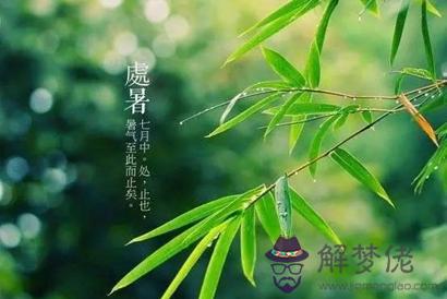 處暑的下一個節氣是什麼 處暑和白露是什麼意思？(圖文)