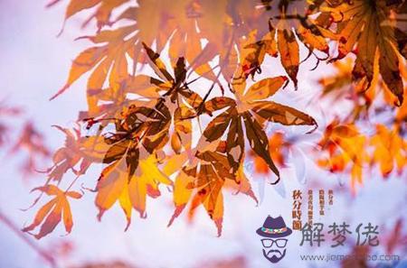 2019年八月廿五秋分蓋房子好嗎,2019秋分時辰吉兇查詢！(圖文)
