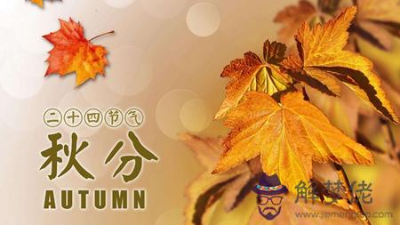 2019年八月二十六秋分后一天房子裝修動土吉不吉利？(圖文)