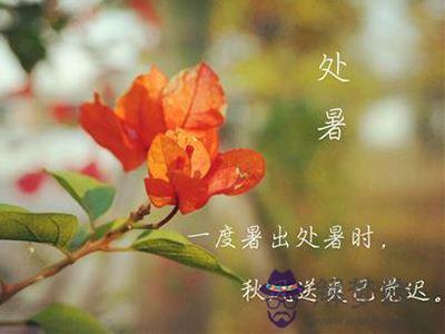 2019年處暑不能搬家喬遷嗎？搬家民俗喜忌(圖文)