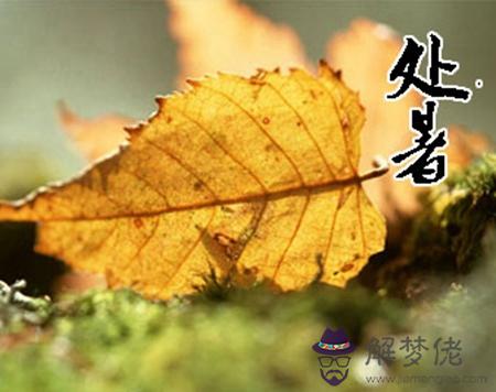 2019年處暑后一天結婚好不好,處暑屬于哪一個季節？(圖文)