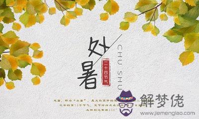 處暑代表什麼意思？處暑節氣意味著什麼？(圖文)