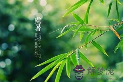 2019年處暑可以理發剪頭發嗎日子好不好 處暑理發吉利嗎？(圖文)