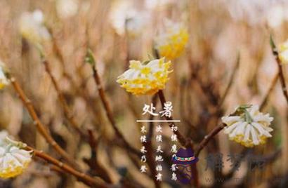 2019年處暑可以理發剪頭發嗎日子好不好 處暑理發吉利嗎？(圖文)