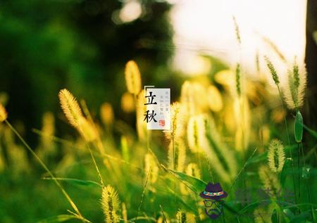 2019年立秋出生男孩八字缺木好聽順口滿分名字大全！(圖文)