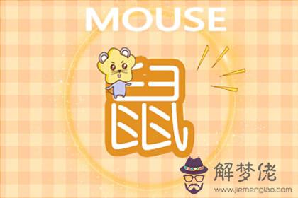屬鼠的今年運勢如何 是什麼命 婚配好嗎(圖文)