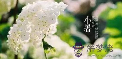 小暑吃什麼傳統食物 小暑吃芒果有什麼好處？(圖文)