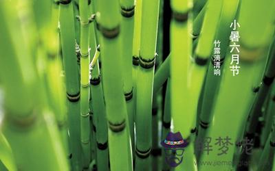 2019年小暑可不可以結婚這天是黃道吉日嗎？(圖文)