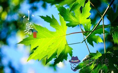 2019年小暑可不可以結婚這天是黃道吉日嗎？(圖文)