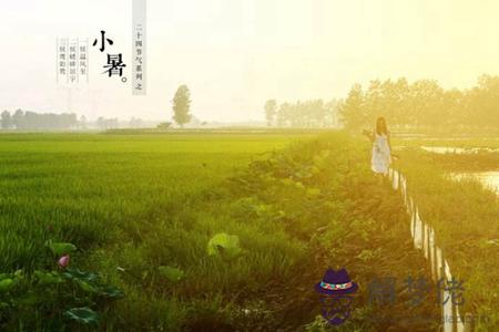2019年小暑節氣是不是入伏第一天,2019年小暑熱不熱？(圖文)