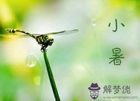 2019年農歷六月初五小暑是吉日嗎,7月7日小暑時辰吉兇解析！(圖文)