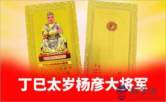 丁巳太歲楊彥大將軍