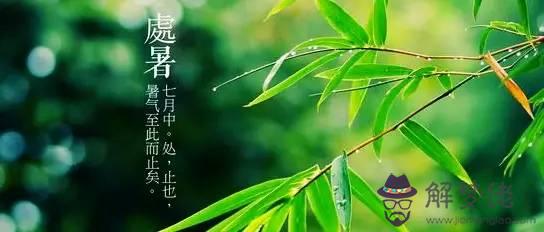 處暑節氣有什麼禁忌？處暑前后節氣禁忌！(圖文)