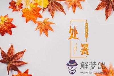 處暑節氣氣象諺語有哪些？(圖文)