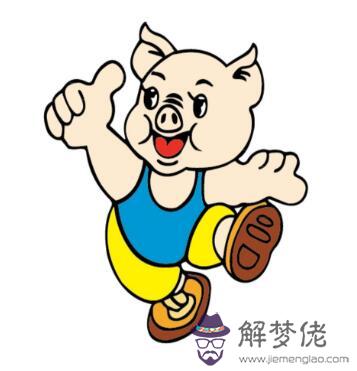屬豬人房子風水有哪些講究？(圖文)