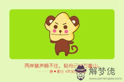 白色的生肖是什麼生肖 屬雞屬猴(圖文)