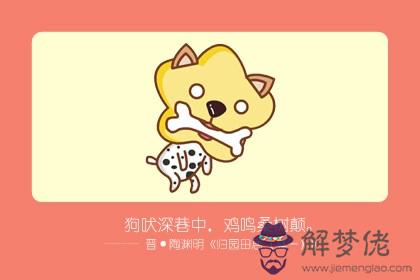 忠誠的動物打一生肖 必定是狗(圖文)