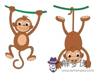  屬猴人愛你的表現，屬猴人愛你會怎麼做