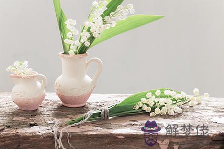 屬鼠白羊座2020年運勢