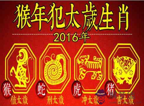 2016年犯太歲的生肖