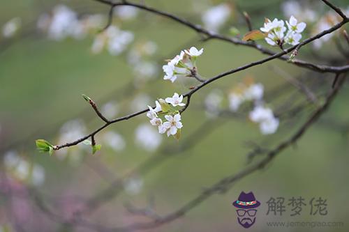 2018年屬龍的12月份桃花運怎麼樣