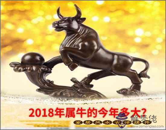 2018年屬牛的今年多大