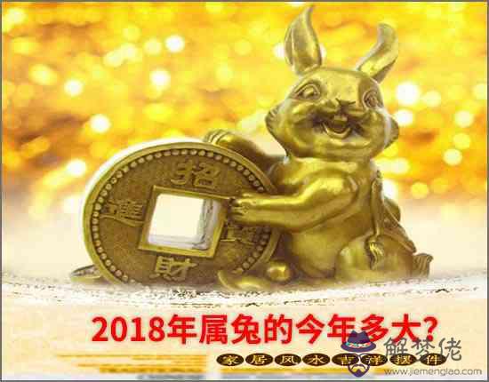 2018年屬兔的今年多大