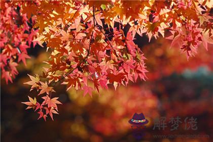 11月20日是什麼日子好不好 老黃歷怎麼說