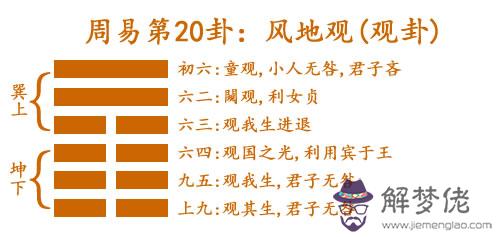 20 風地觀(觀卦).jpg