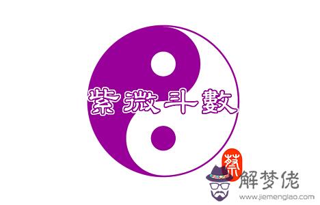 什麼是紫微斗數排盤