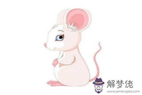 屬鼠的農歷八月是什麼命