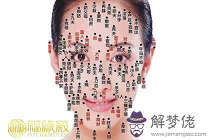 兔寶寶起名需要注意的禁忌(圖文)