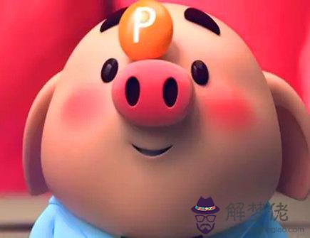 屬豬男適合什麼樣的工作