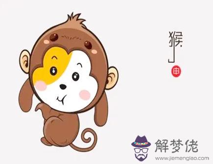 屬猴養什麼寵物好