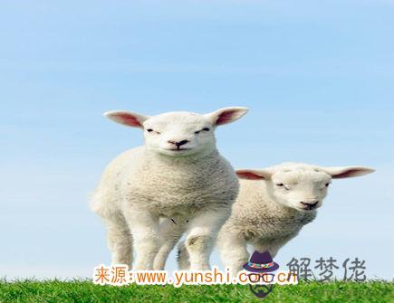 三月出生屬羊人的運勢