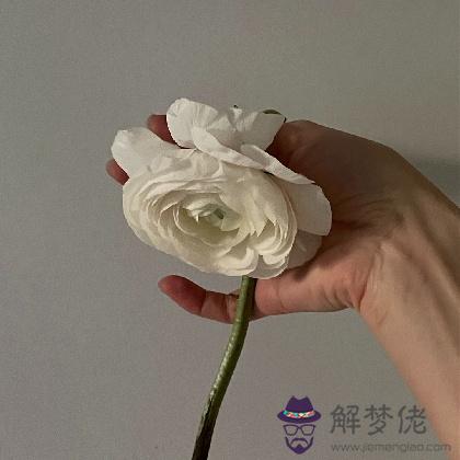 開扒愛情中最容易走彎路的生肖，太難了