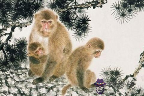 2004年屬猴人是什麼命什麼性格