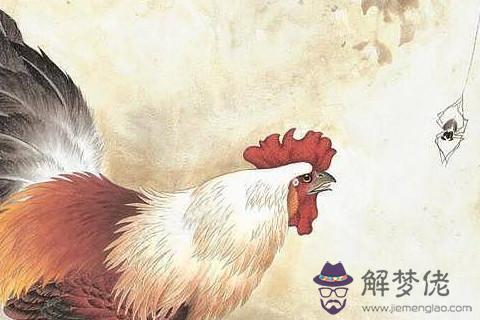 2021年屬雞的幸運色是什麼吉祥顏色