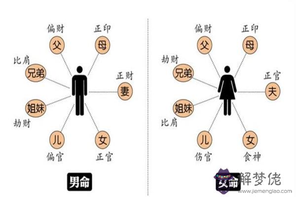 八字入門之十神的人事類象