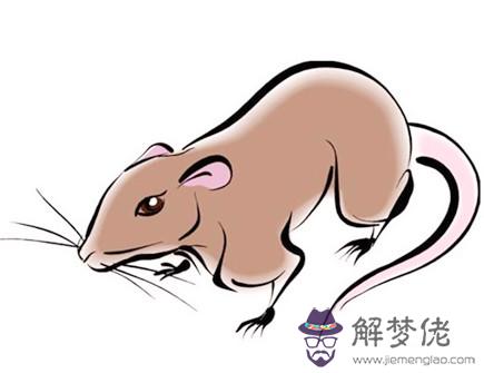 屬鼠人適合和什麼屬相交朋友