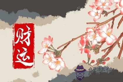 辦公室擺放什麼植物最招財 招財轉運生財旺財