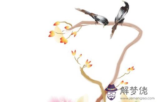 心思慎密代表什麼生肖 生肖虎高智商
