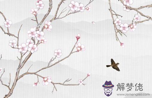 女命1988大林木命好嗎 人緣旺盛財運發達