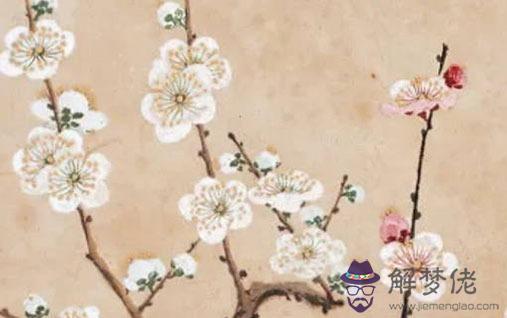 2022年正月初九出生女性命運如何 招財生活富裕
