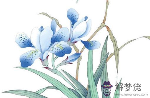 本命年什麼屬相可以戴本生肖 本命年戴相合生肖能提好運
